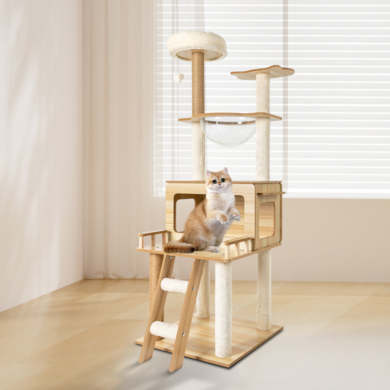Esmildo 57.9'' H Multi-Level Cat Tree for Kitten Cats Pets
