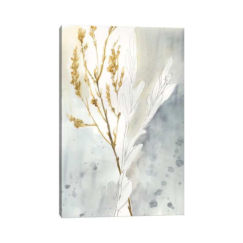 Wild Grass II by Jennifer Goldberger - Wrapped Canvas Print, 20.32 cm H x 30.48 cm W