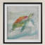 " Turtle Tropics I "-33476127-32510180