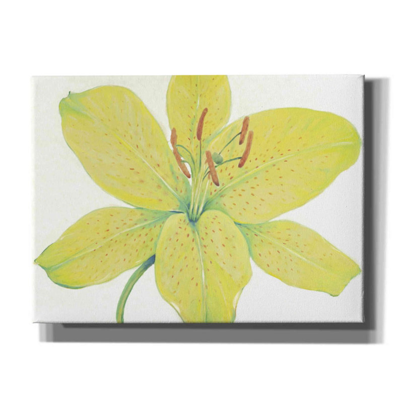 «Citron Tiger Lily I» par Tim O'toole, art mural sur toile, H 40 po x l 54 po x P 1,5 po