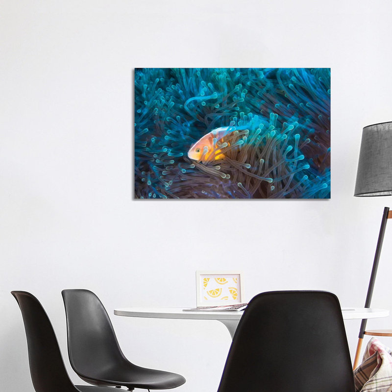 Skunk Clownfish by Barathieu Gabriel - Print on Canvas, Wrapped Canvas, 66.04cm H x 101.6cm W x 1.91cm D