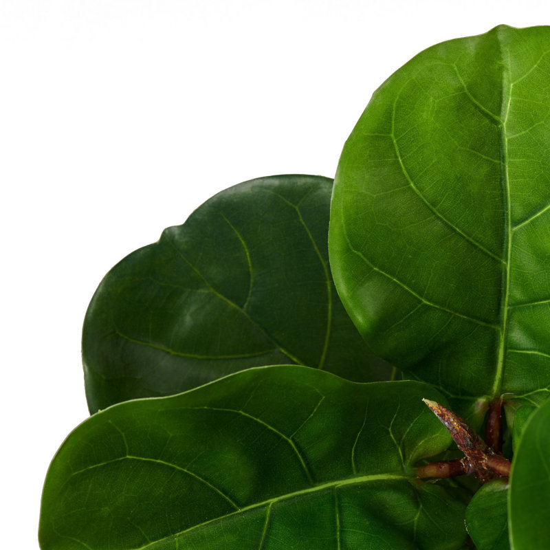 41'' Faux Fiddle Leaf Fig Tree in Pot