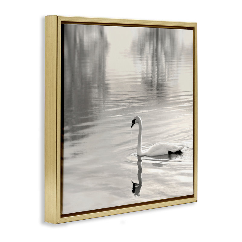 Cadre flottant Morning Sunlit Swan, design par Nicholas Bell, H 18 po x l 18 po, Cadre flottant métallique doré