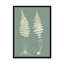 Ferns on Sage VI 1 Piece Painting-1731632266-1731632267