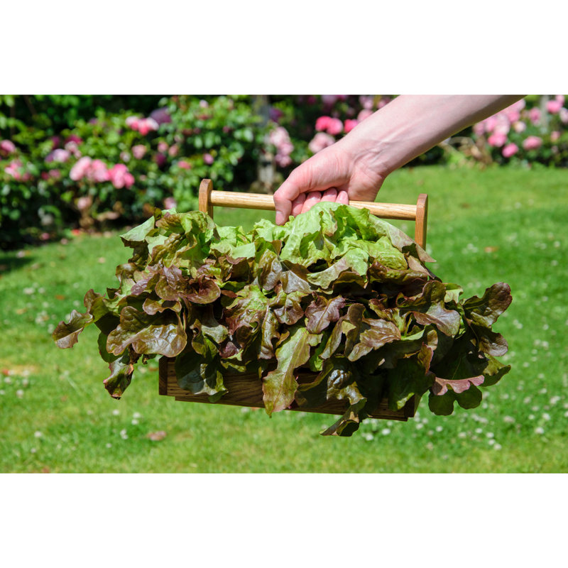 Natur Pur Solid Wood General Basket
