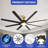 Demarcio 72'' Ceiling Fan with LED Lights