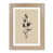 French Oak is out of stock selected