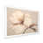 Cadre simple blanc