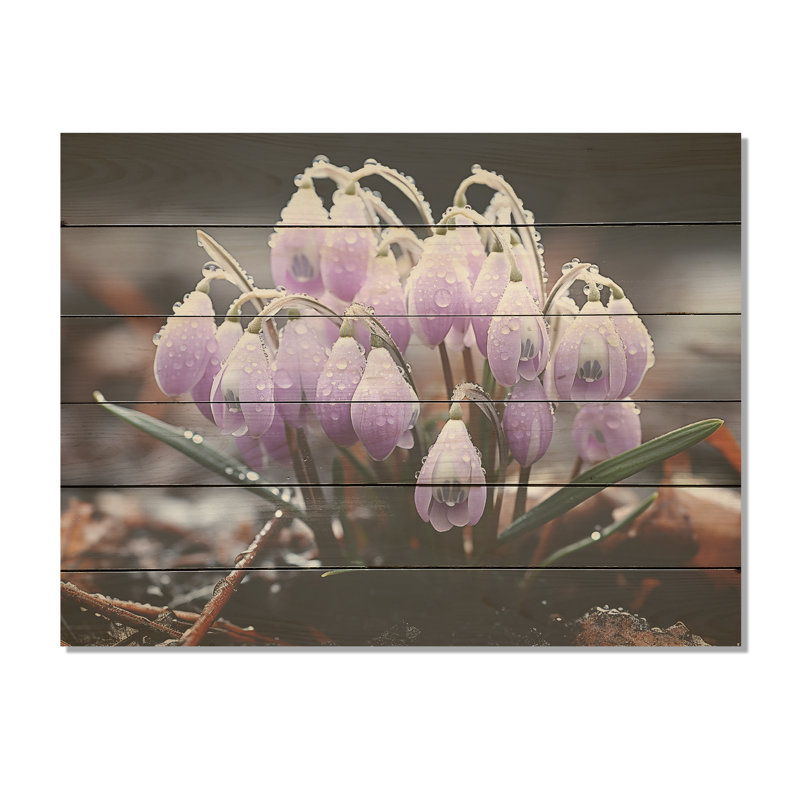 Lavande, neige enneigée, fleur d'hiver - Snowdrops, art sur bois de pin naturel, H 30 po x l 40 po