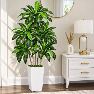 Arbre artificiel Dracaena de 1,5 m, plante Dracaena fragrans à plusieurs têtes avec pot blanc, feuilles réalistes aux tons jaunes, plante d'intérieur facile d'entretien pour la décoration de la maison et du bureau extérieur couvert