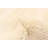Tangier Cream Rug 6'2" x 8'7"