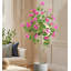 Caisen Faux Tree-932617311
