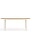 Miguelina Extendable Dining Table