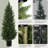 48''Artificial Cedar Tree Set In A Pot
