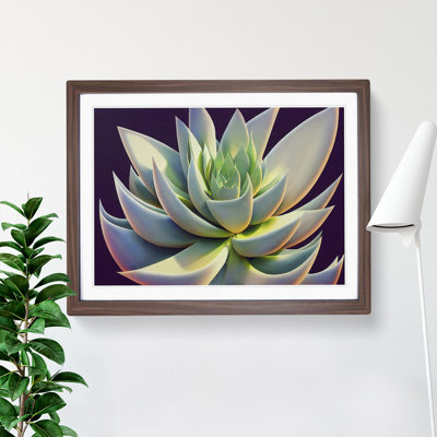 Ravishing Succulent Plant - Single Picture Frame Print