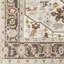 Oriental Area Rug-1755612344