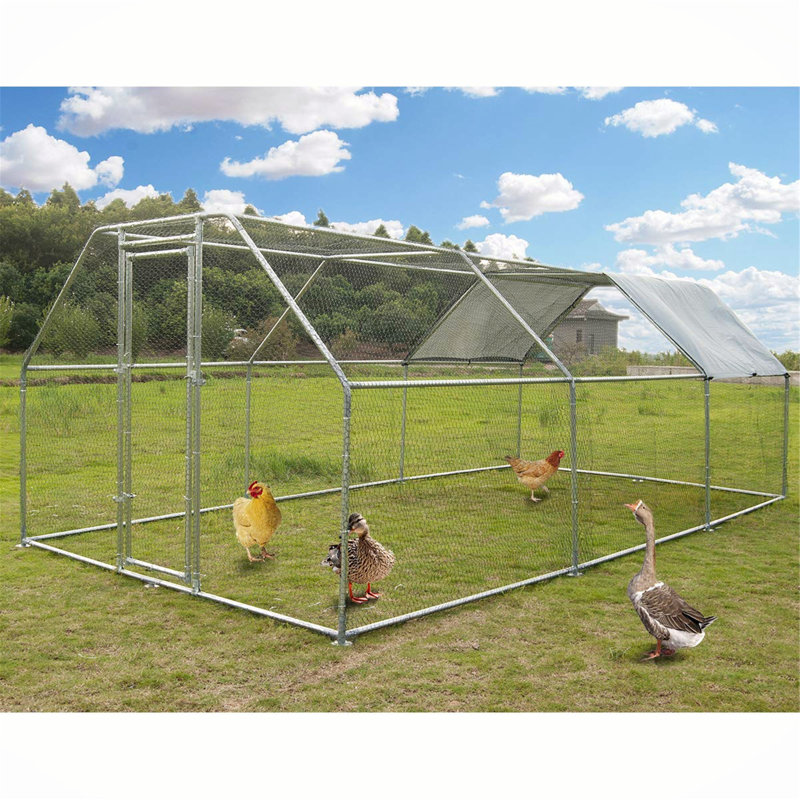 Poulailler avec treillis métallique 130 pi² Crisinda, H 7,3 po x l 81,96 po x P 11,8 po