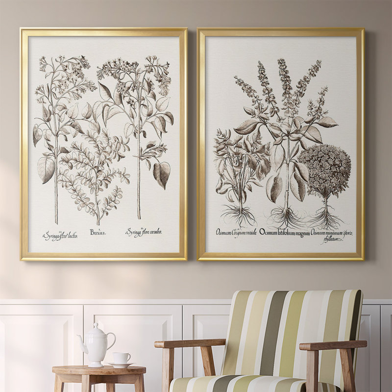" Sepia Besler Botanicals I " 2 - Pieces, Gold, 42.5" H x 61" W x 1.25" D