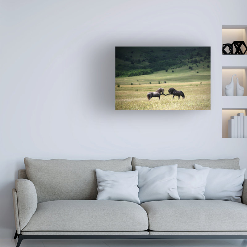 Toile tendue - Vedran Vidak «Peace», art mural pour salon, chambre à coucher ou bureau - 16 x 24
