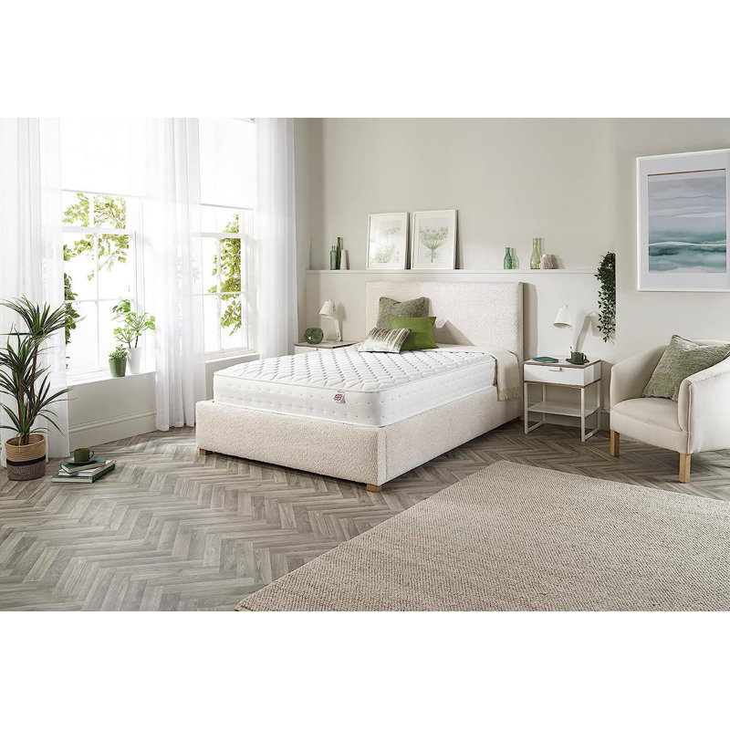 20.5cm Cotton Mattress Pad, Single (3')