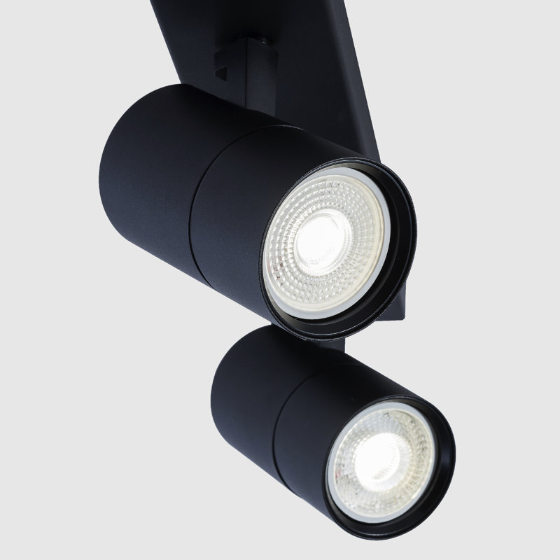 Avonleigh Spotlight, Black