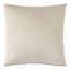 Silvio Square Pillow Cover & Insert