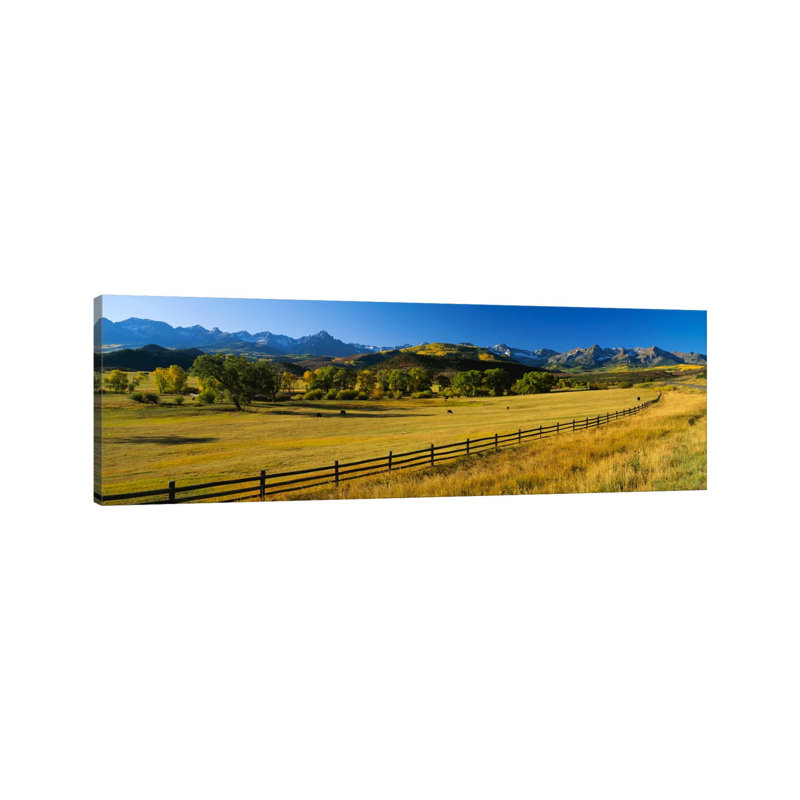 Trees In A Field, Colorado, USA - Wrapped Canvas Panoramic Print, 30.48 cm H x 91.44 cm W x 1.91 cm D