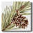 " Simple Pine Cone I "-232910431