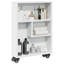 Ricaria 68cm H x 48cm W Bookcase-1511602893
