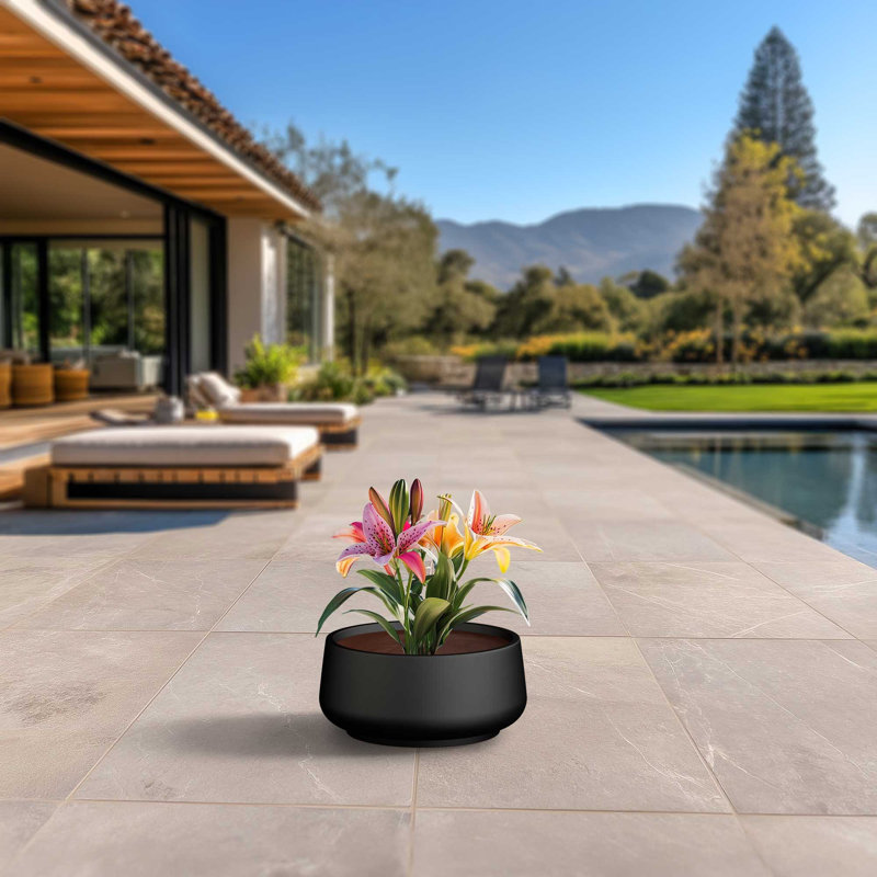 Pot à fleurs moyen rond en béton avec trous de drainage, H 11,22 po x l 20,28 po x P 20,28 po, Noir anthracite