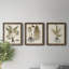 Fern Botanical IV - Ensemble de 3 peintures sur toile encadrées-1362442883-1362442892