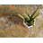 Trona Washable Abstract Indoor / Outdoor Rug-2074229773