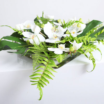 Arrangement floral carré, orchidée blanche, feuille de Monstera, fougère mixte flottant illusion d'eau de jardin