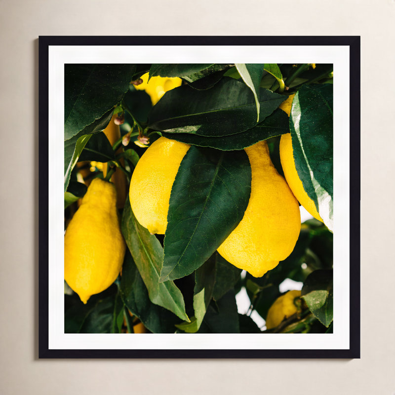 Citrons de la côte d'Amalfi, H 12 po x l 12 po x P 0,75 po, Cadre simple noir, Oui
