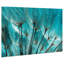 «Dandelion», reproduction sur verre