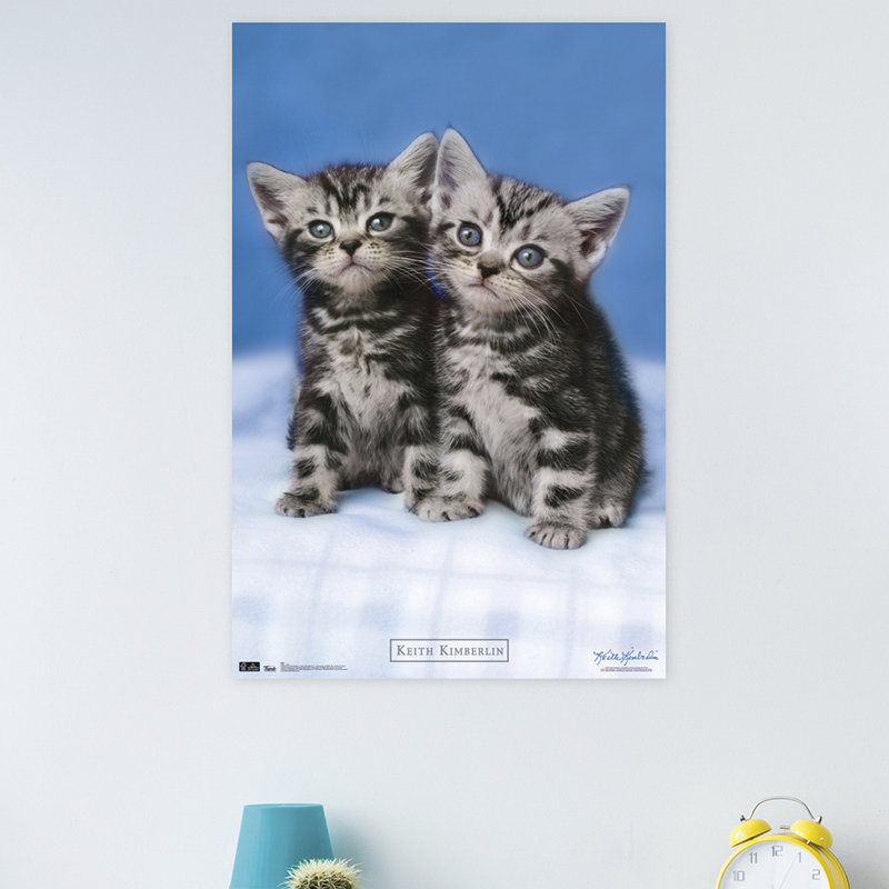 Impression sur papier chat-palmiers
