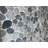 Fossil Blue Natural Sea Pebbles Mosaic for Wall & Floor Tile 12"X12"