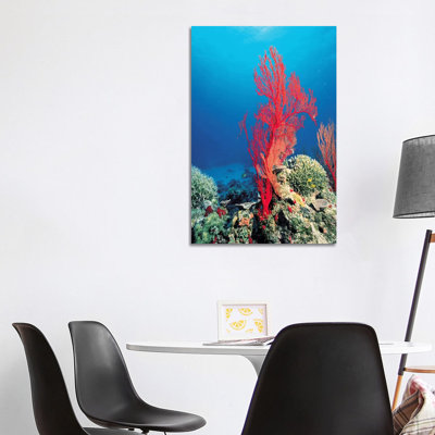 Red Coral 1 Piece Wrapped Canvas Wall Art