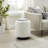 Danetta 16.5" Wide Tufted Round Footstool Ottoman-397754905
