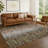 Machine Washable Indoor/Outdoor Chantille ACN2318 Casual Rug-1216493682