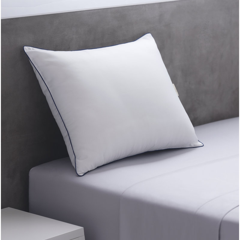 Ensemble de 2 coussins Milani