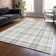 Machine Washable Indoor/Outdoor Chayden ACN1052 Rug