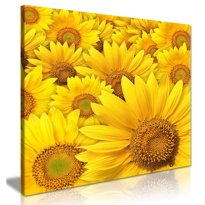 Sunflower - Wrapped Canvas Print, 31cm H x 31cm W