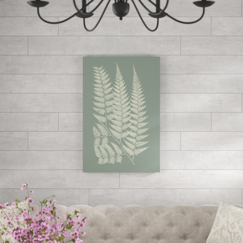 Ferns On Sage III by Vision Studio - Painting on Canvas, 76cm H x 51cm W, Wrapped Canvas