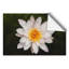 White Lily Flower Painting - Wall Art-62083098-105964356