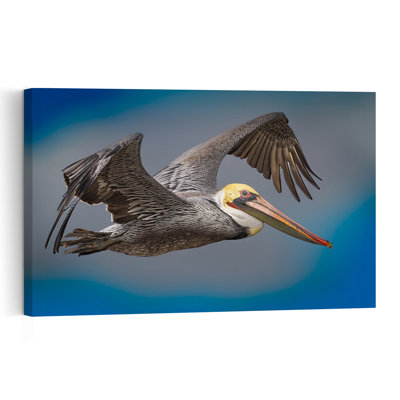 Brown Pelican In Flight Abstract Bird Pelican Coastal Nature Wall Art Print by Jeffrey C. Sink - 1 Piece Wrapped Canvas Wall Art