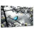 Brampt Blue Tit Pop-108946056