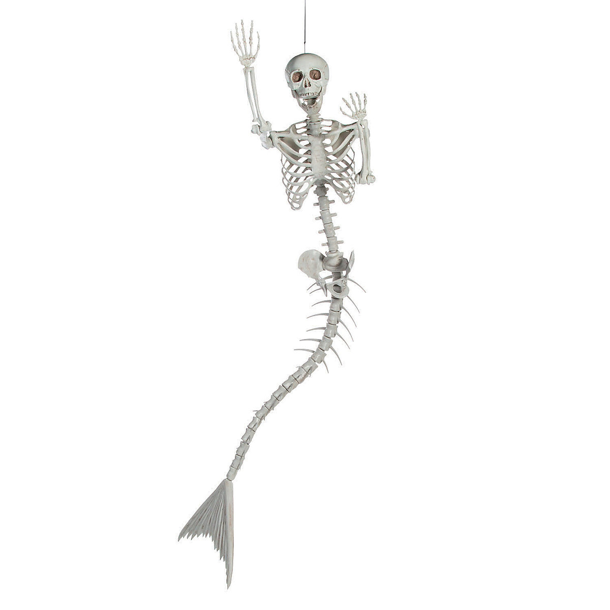 ITEM: MERMAID SKELETON
QUANTITY: 1
PRICE: $15/DAY
CATEGORY: HALLOWEEN