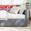 Velvet Sofa Bed