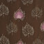 Dark Brown/Pink